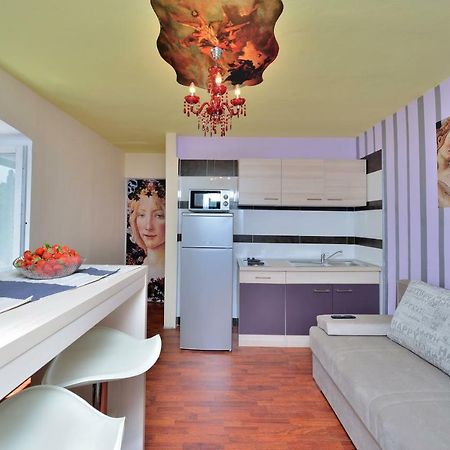 Apartments Carpe Diem Novigrad  Extérieur photo