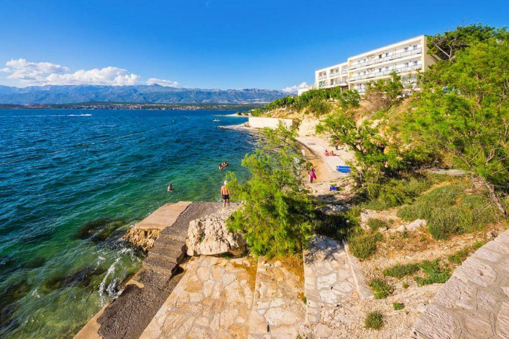 Apartments Carpe Diem Novigrad  Extérieur photo