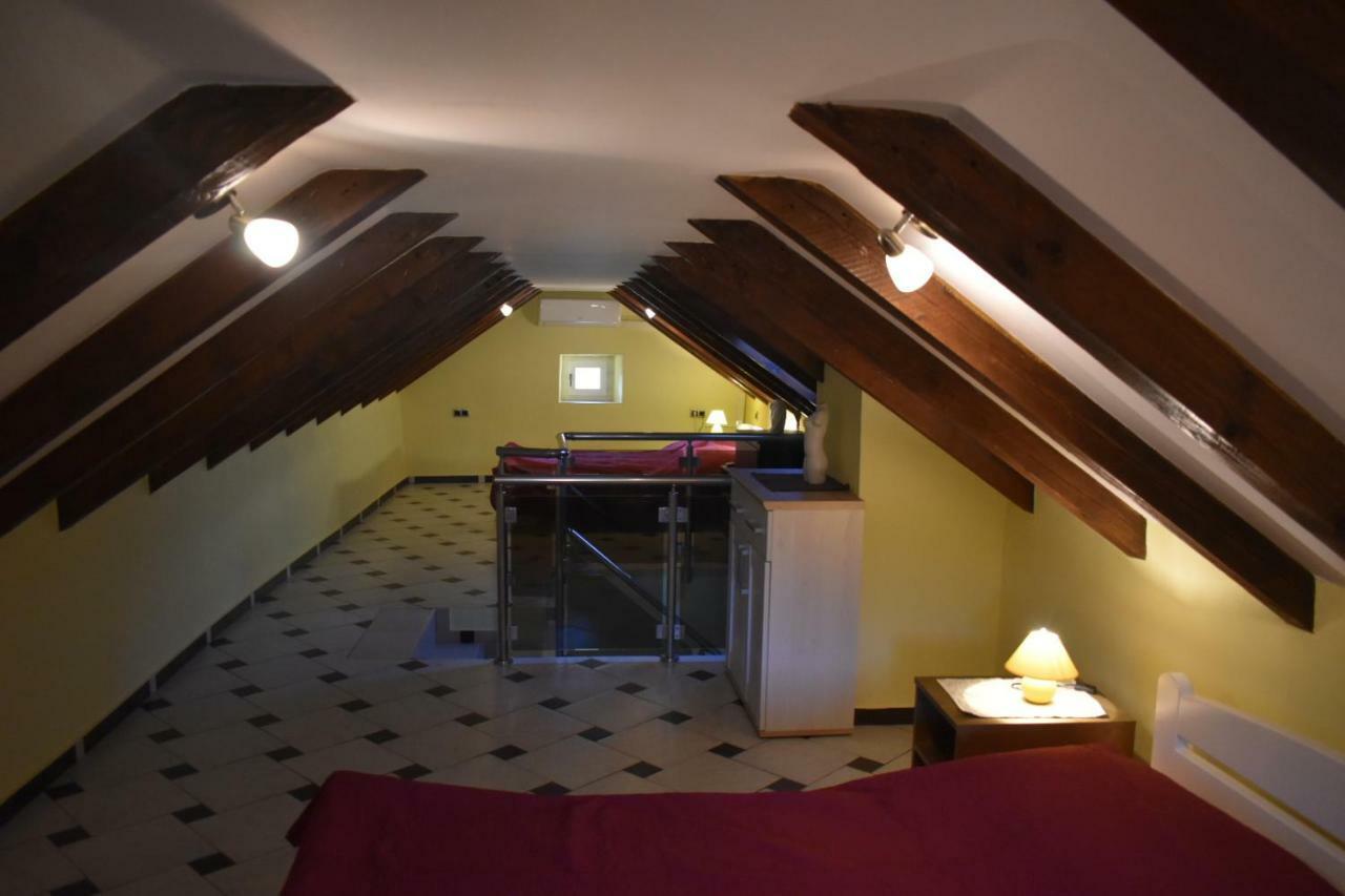 Apartments Carpe Diem Novigrad  Extérieur photo