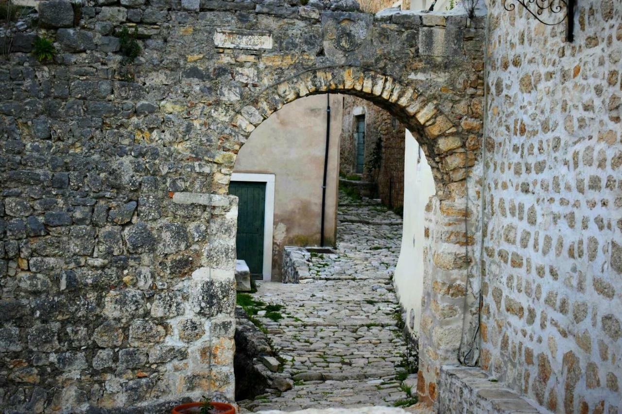 Apartments Carpe Diem Novigrad  Extérieur photo